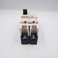 NF32-SV  2P 10A